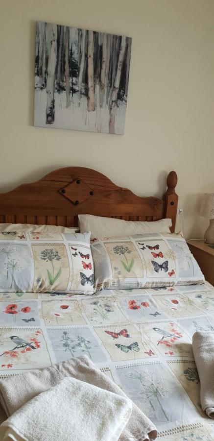 Comfy Quiet Town House Villa Strabane Dış mekan fotoğraf